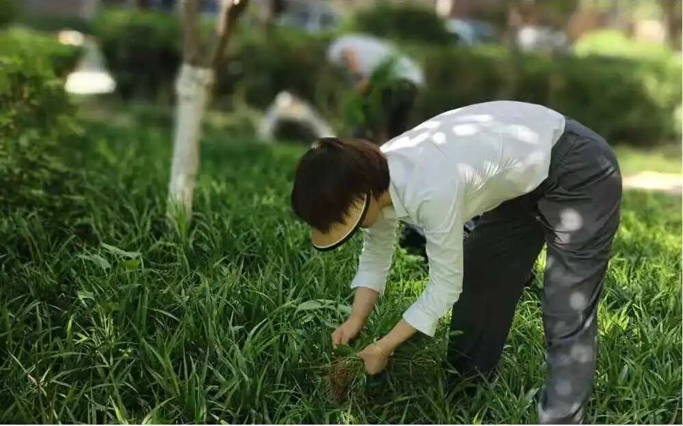 张美丽：十二载物业深耕，以初心守护万家灯火